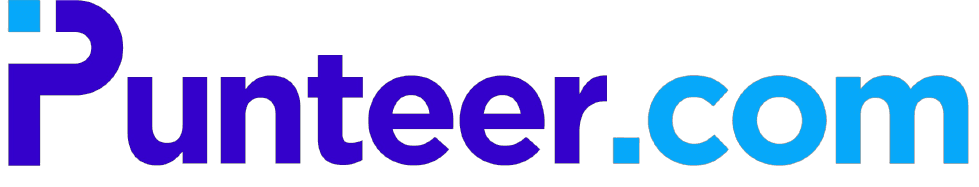 Punteer Logo