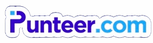 Punteer Logo